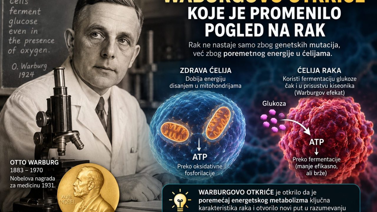 Warburgovo otkriće koje je promenilo pogled na rak