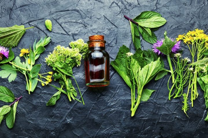 Kada medicina uči od prirode: od hormona do leka