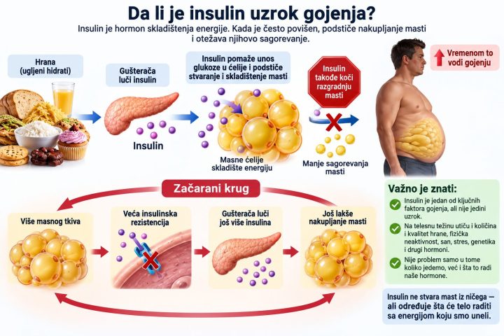 Da li je insulin uzrok gojenja?