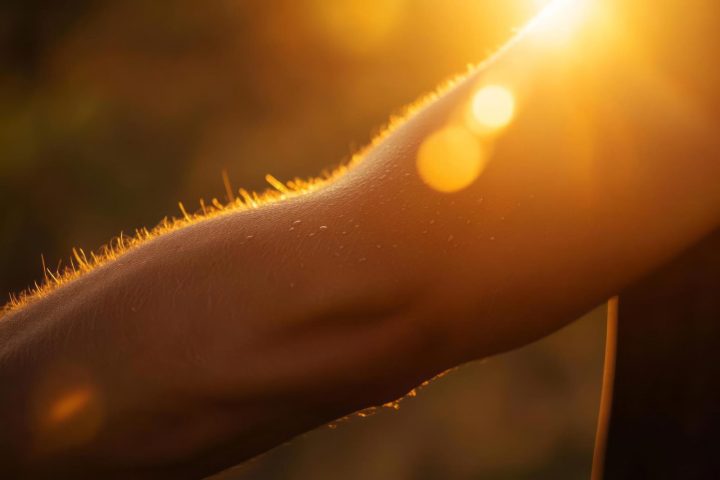 Kako nastaje vitamin D?