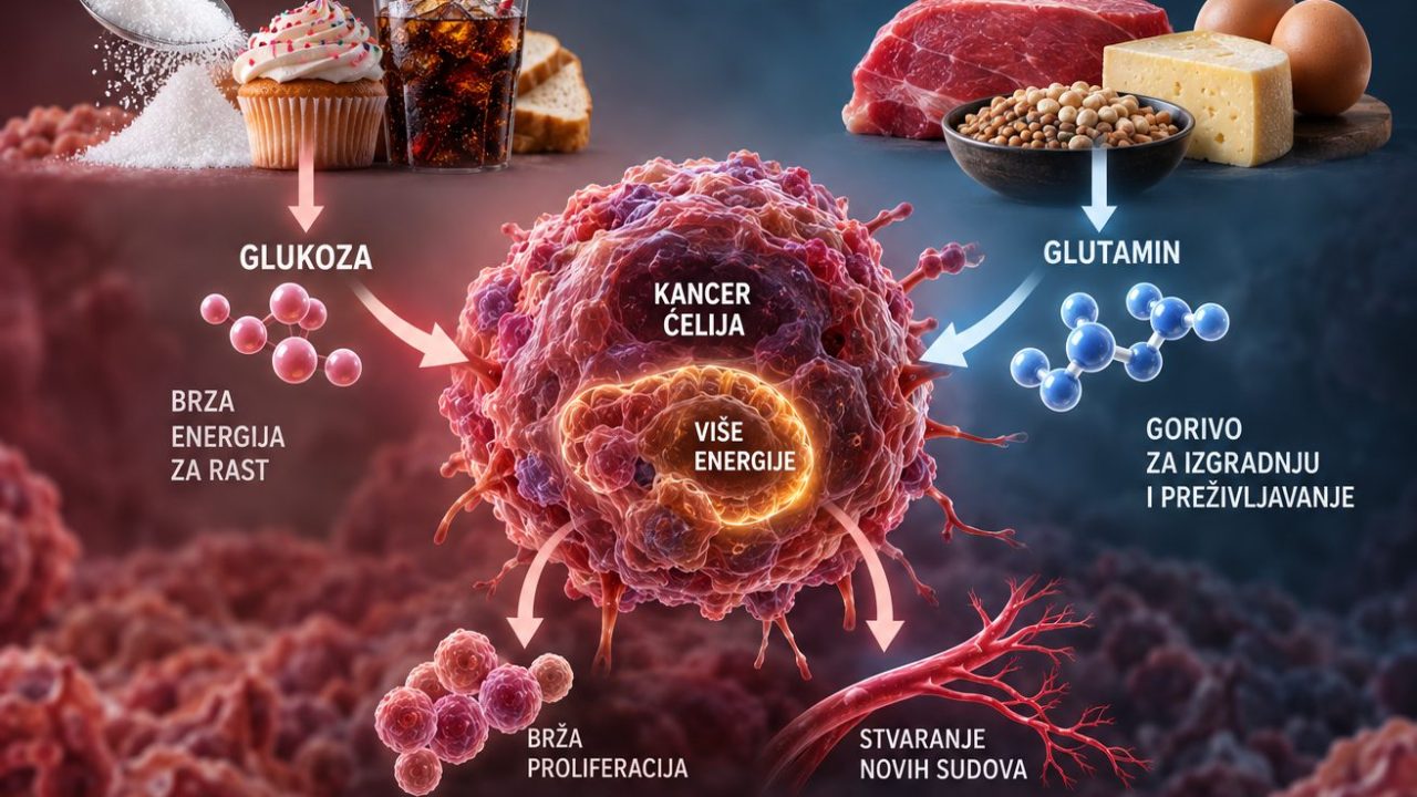 Kancer iz ugla metabolizma