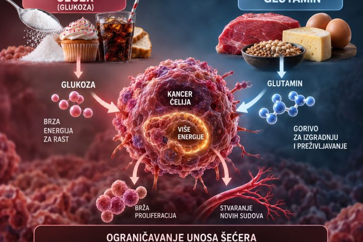 Kancer iz ugla metabolizma